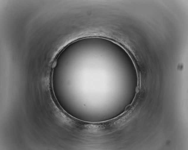 X0000099301500200805090942