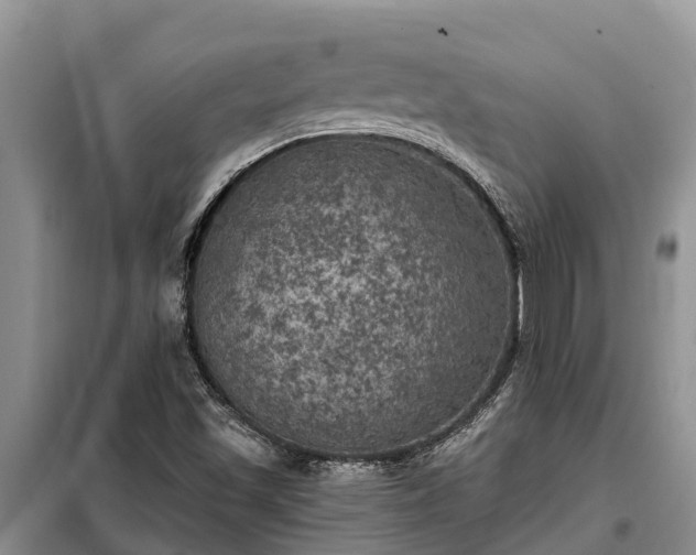 X0000099301501200805090942