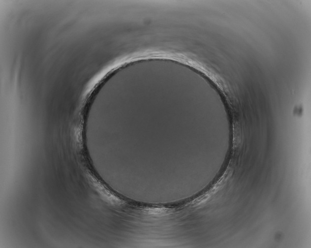 X0000099301502200805090942