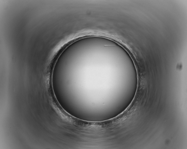 X0000099301503200805090942