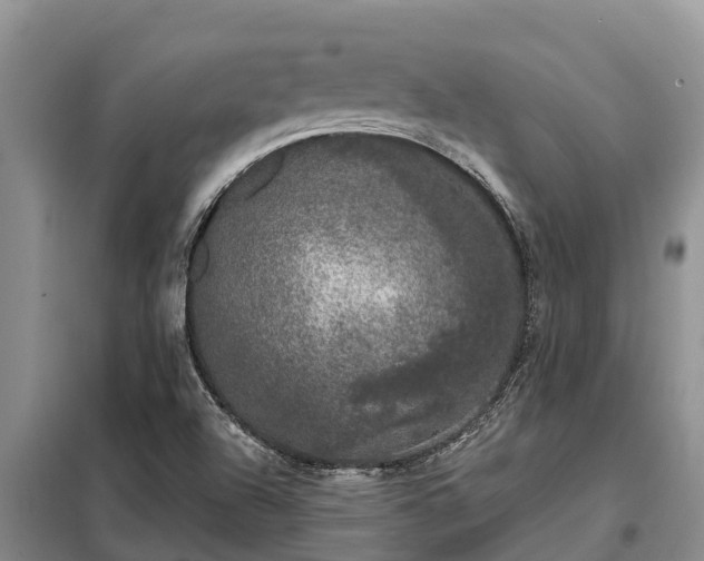 X0000099301504200805090942