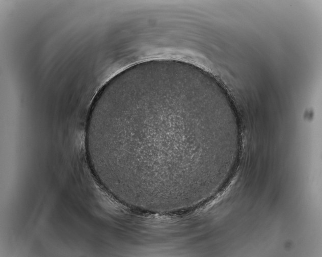 X0000099301505200805090942