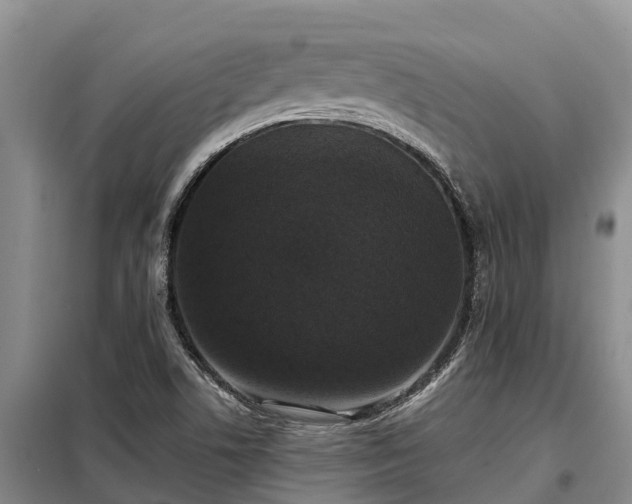 X0000099301506200805090942