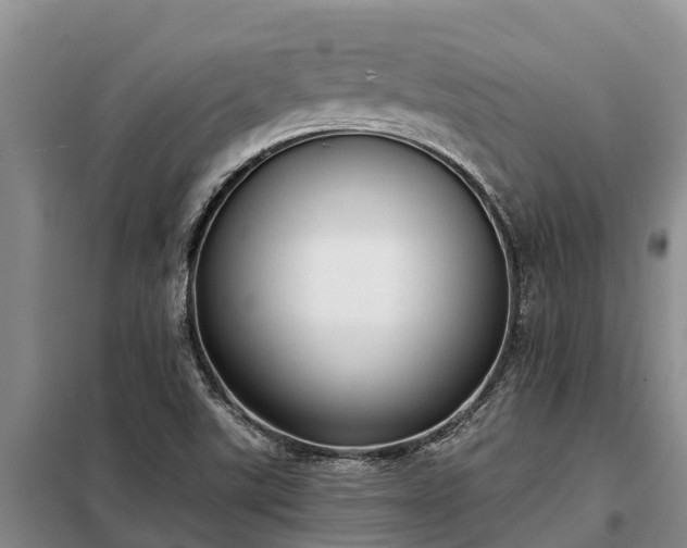 X0000099301507200805090942