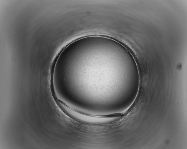 X0000099301508200805090942