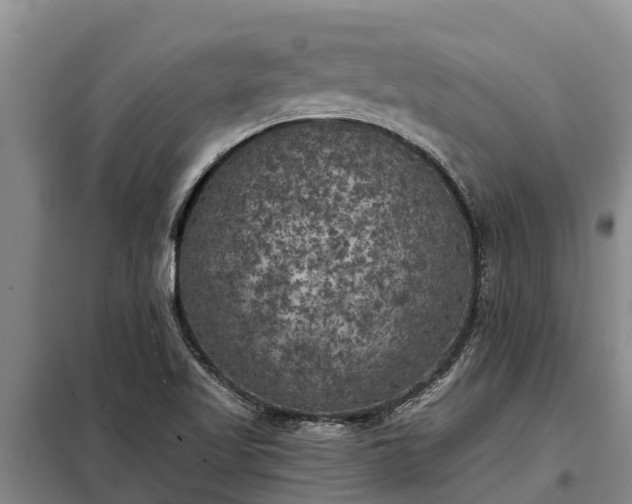 X0000099301509200805090942