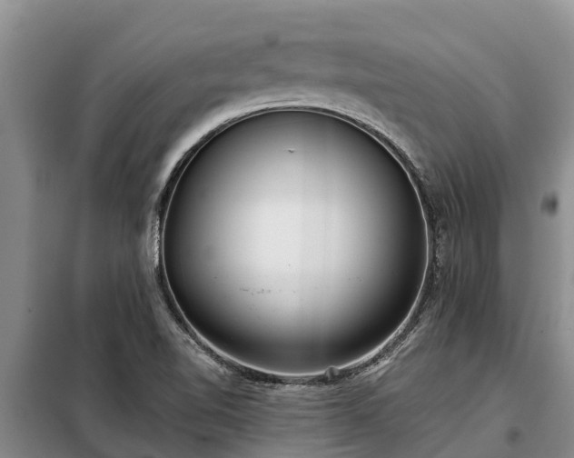 X0000099301510200805090942