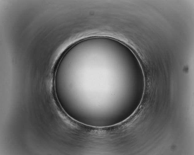 X0000099301511200805090942