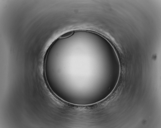 X0000099301512200805090942