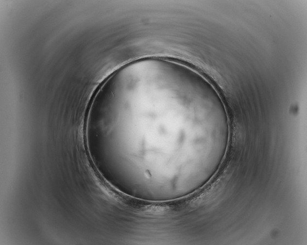 X0000099301513200805090942