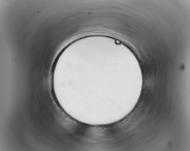 X0000099301514200805090942