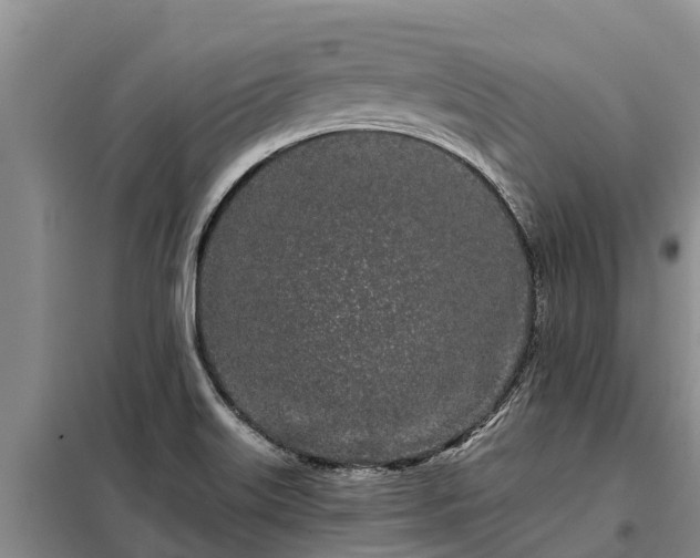 X0000099301515200805090942