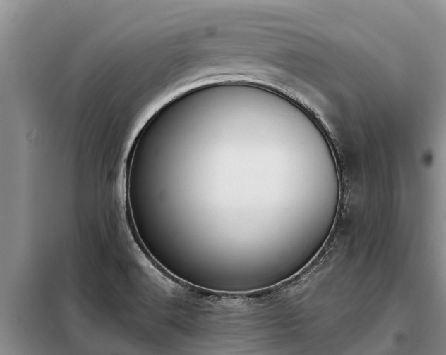 X0000099301516200805090942