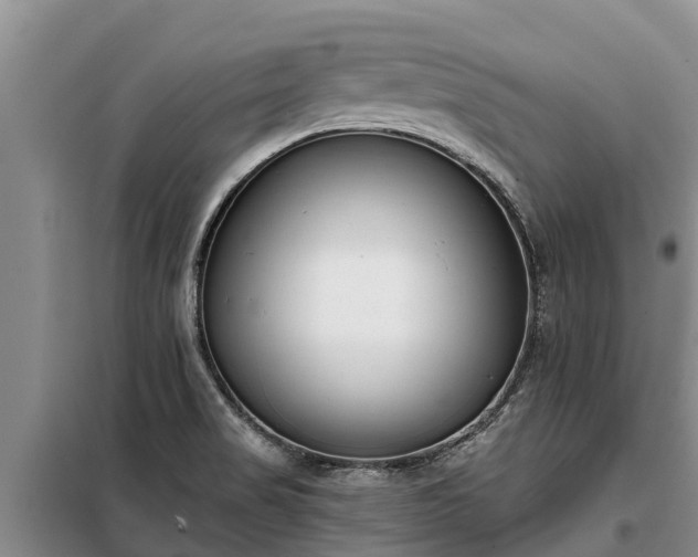 X0000099301517200805090942