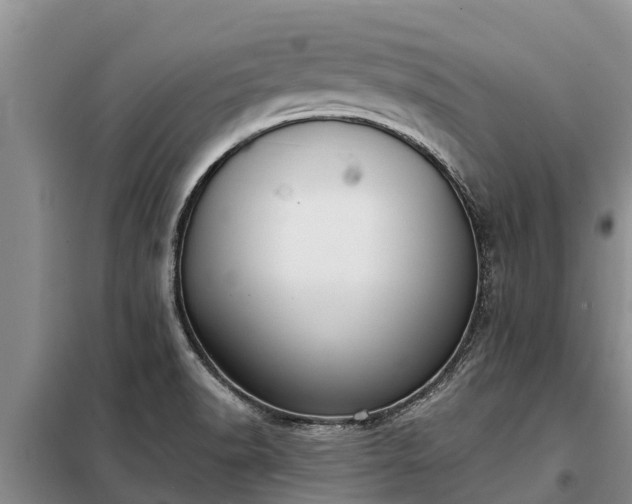 X0000099301518200805090942