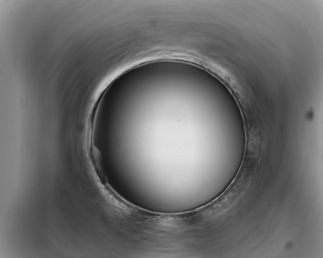 X0000099301520200805090942