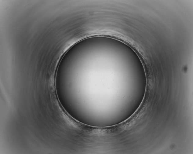 X0000099301521200805090942