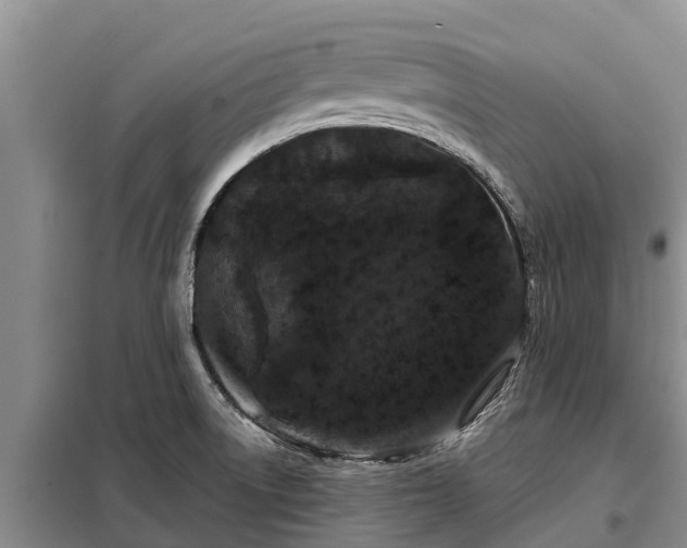 X0000099301522200805090942