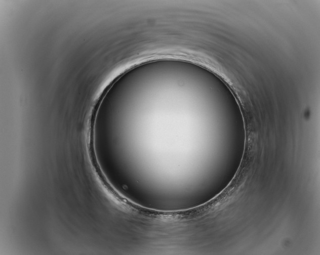 X0000099301523200805090942