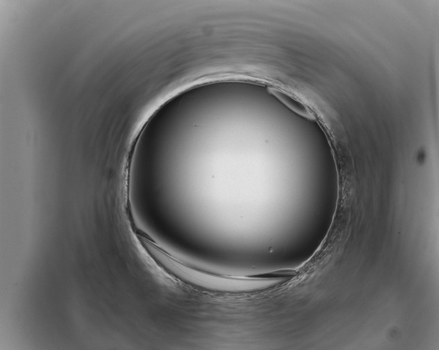 X0000099301524200805090942