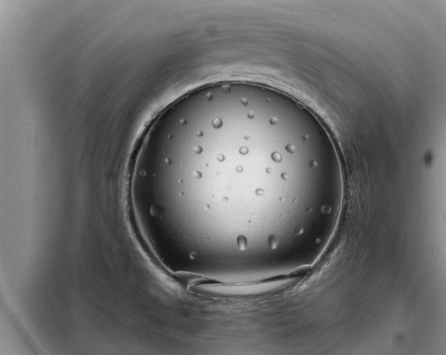 X0000099301525200805090942