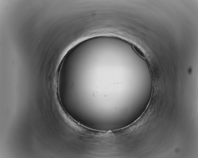 X0000099301526200805090942