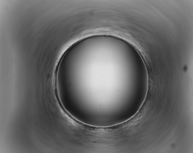 X0000099301527200805090942