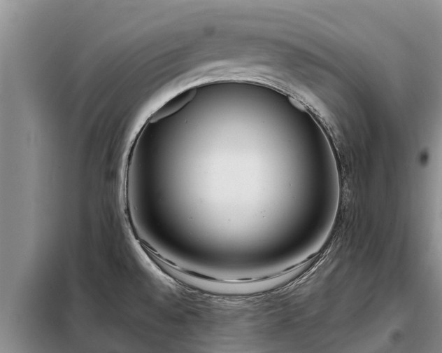 X0000099301528200805090942