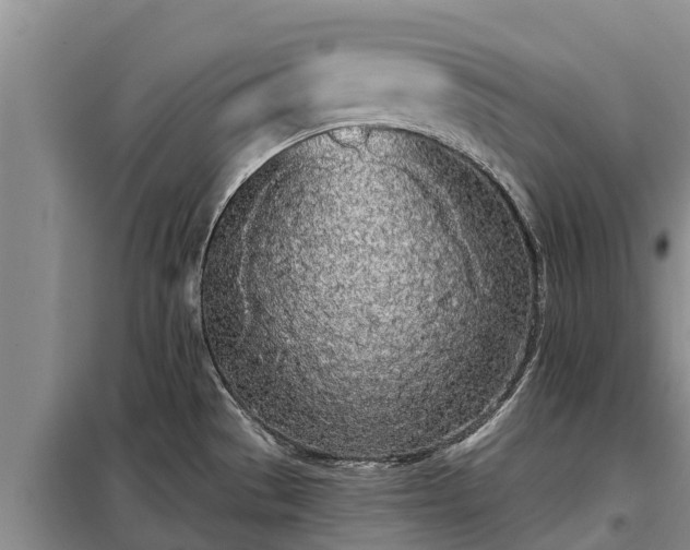 X0000099301529200805090942