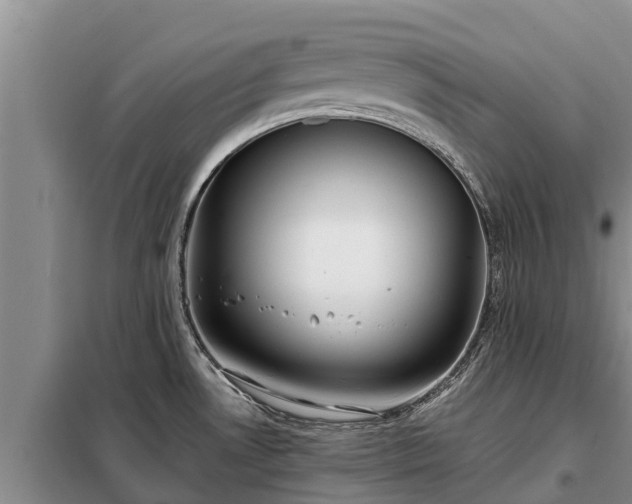 X0000099301530200805090942