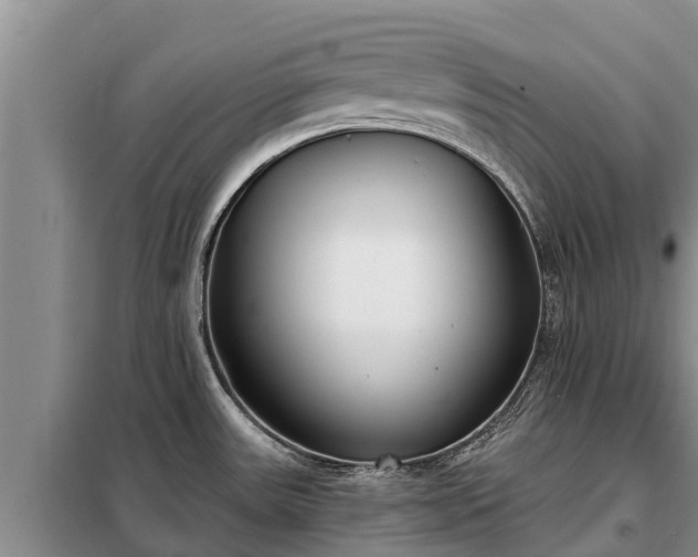 X0000099301531200805090942