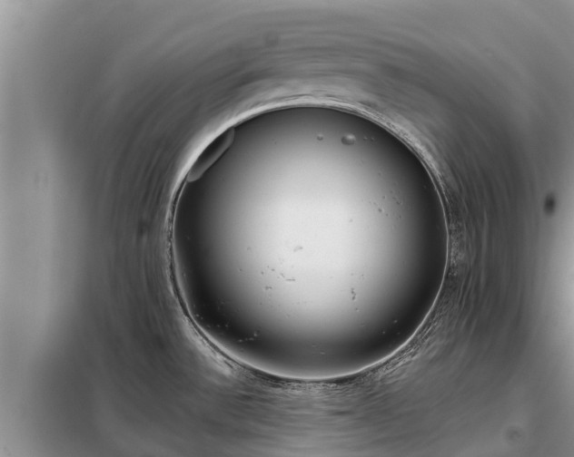 X0000099301532200805090942