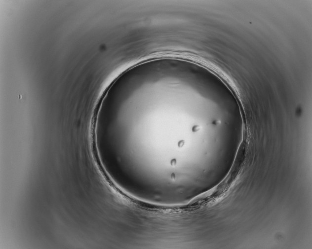 X0000099301533200805090942