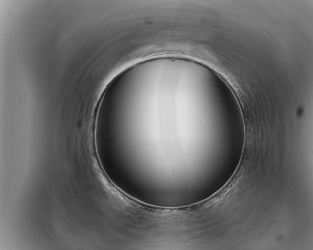 X0000099301534200805090942