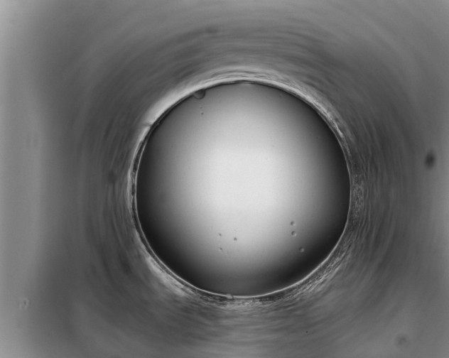 X0000099301535200805090942