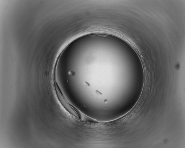 X0000099301536200805090942