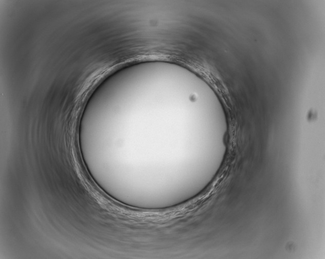 X0000099300001200805161400