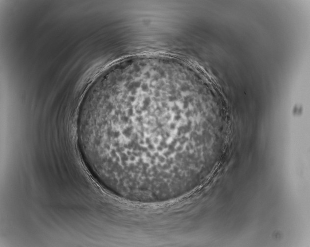 X0000099300002200805161400