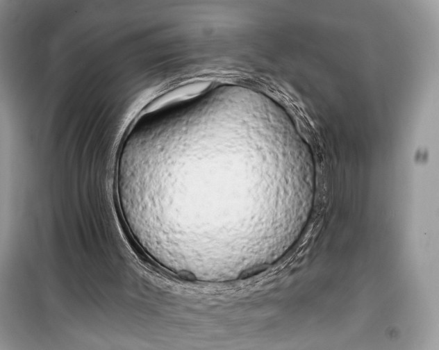 X0000099300003200805161400