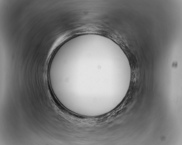 X0000099300004200805161400