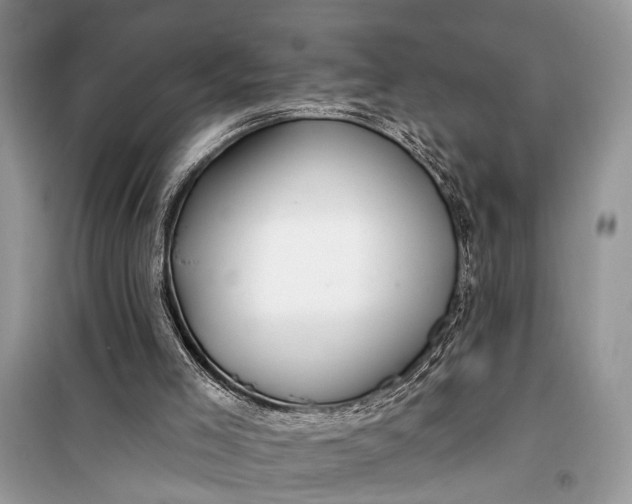 X0000099300005200805161400