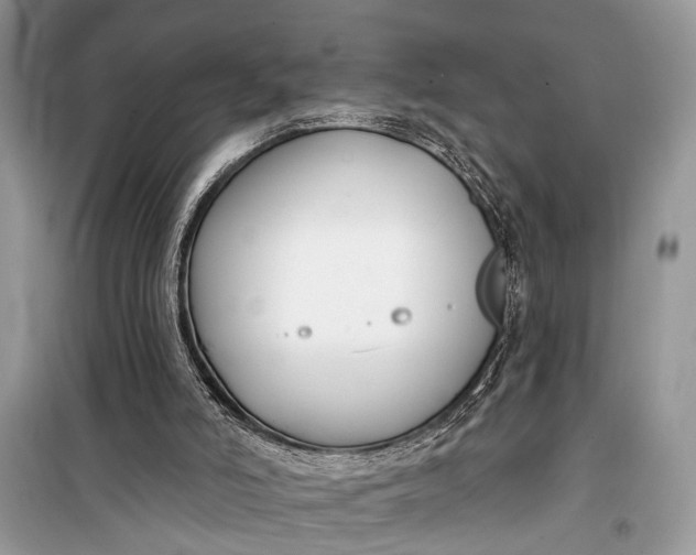 X0000099300006200805161400