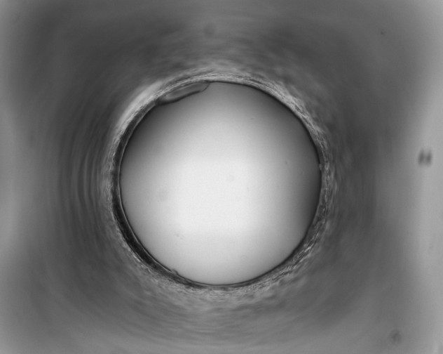 X0000099300007200805161400