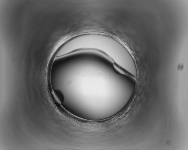 X0000099300008200805161400