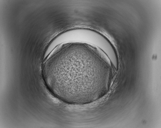 X0000099300009200805161400