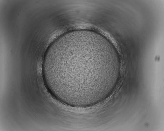 X0000099300010200805161400