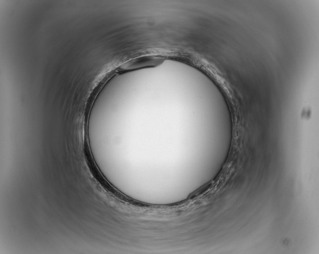 X0000099300011200805161400