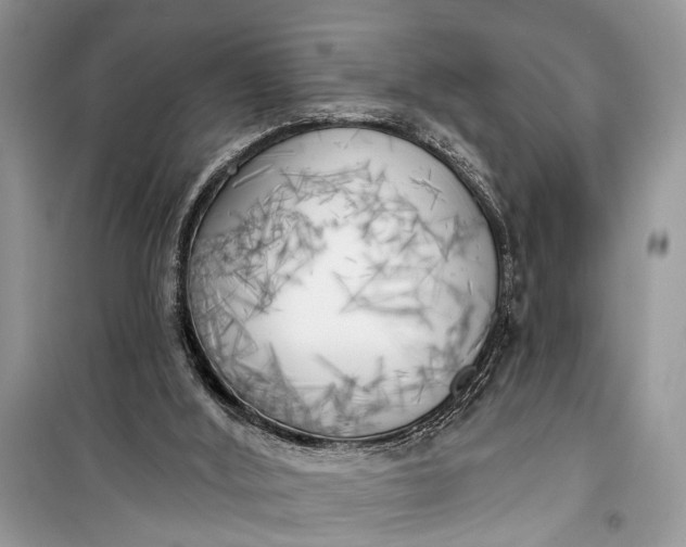 X0000099300012200805161400