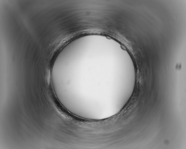 X0000099300013200805161400