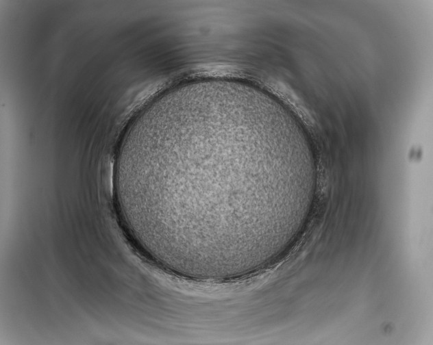 X0000099300014200805161400